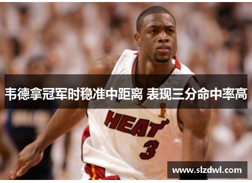 韦德拿冠军时稳准中距离 表现三分命中率高